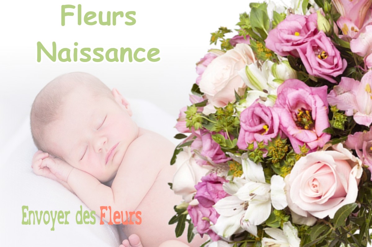 lIVRAISON FLEURS NAISSANCE à LA-BALME-LES-GROTTES